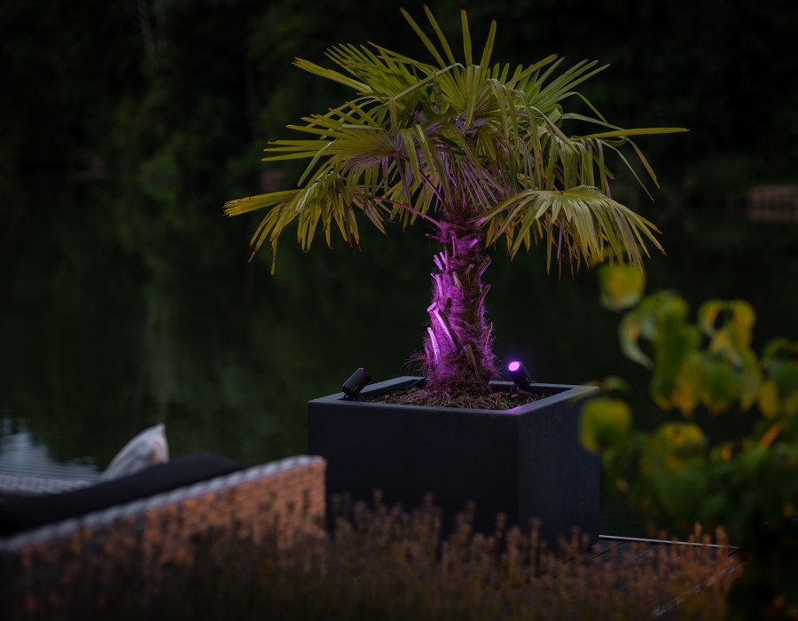 Verlichte boom in tuin